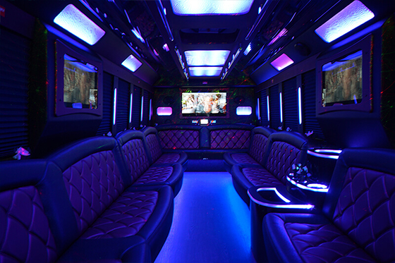 30-passenger party bus